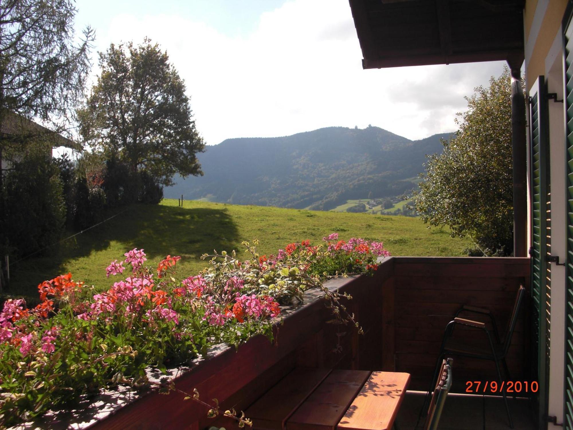 Pension Winter Zell am Moos Buitenkant foto
