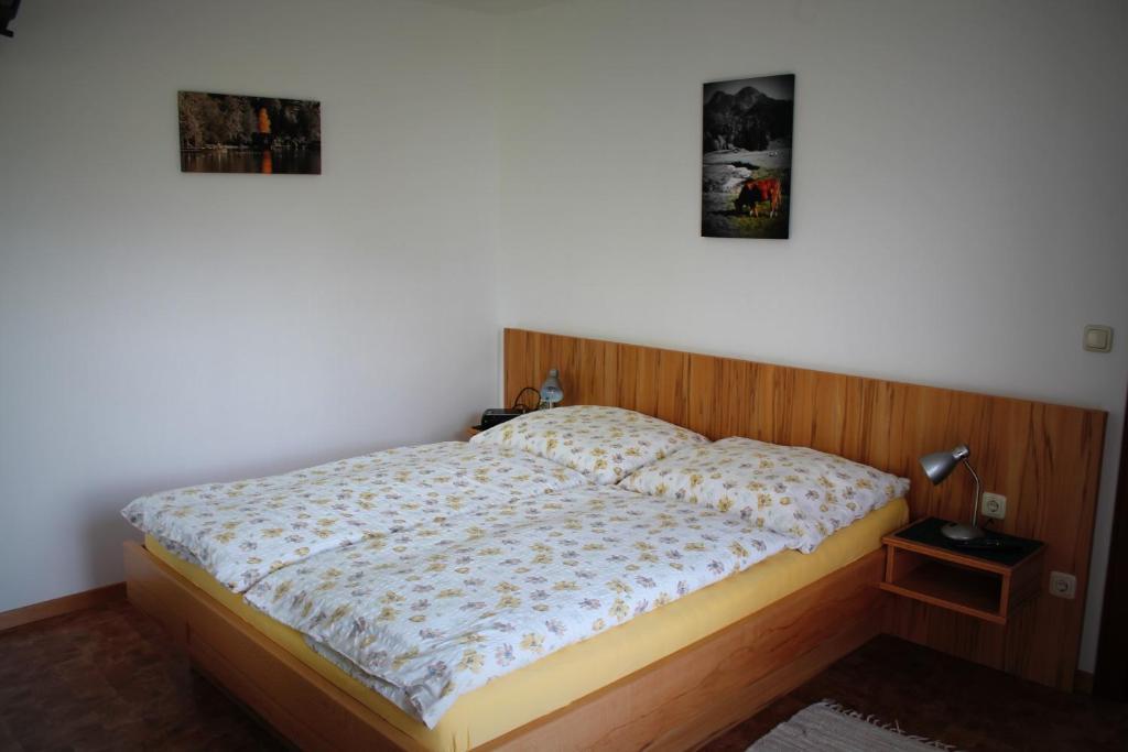 Pension Winter Zell am Moos Buitenkant foto